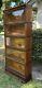 Antique Globe Wernicke (5) Stack Tiger Oak Bookcase